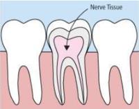 Ornate Dental Clinic image 9